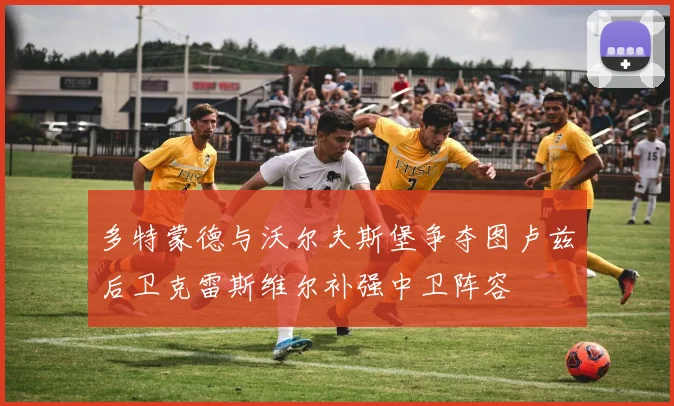 多特蒙德与沃尔夫斯堡争夺图卢兹后卫克雷斯维尔补强中卫阵容