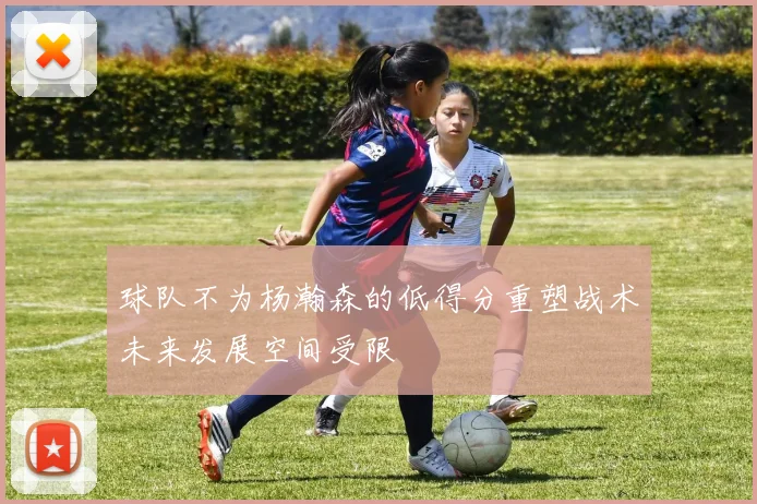 球队不为杨瀚森的低得分重塑战术未来发展空间受限