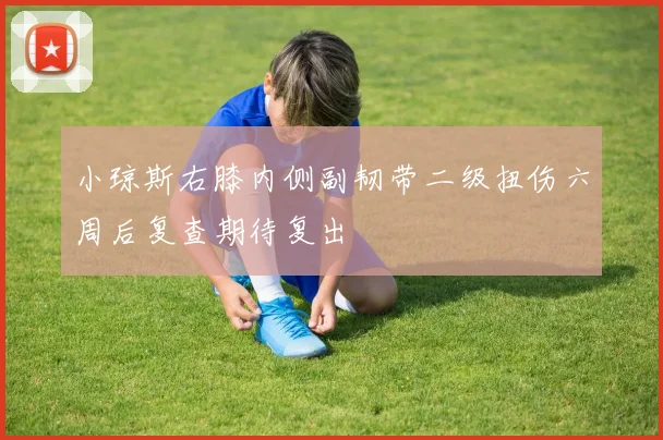 小琼斯右膝内侧副韧带二级扭伤六周后复查期待复出