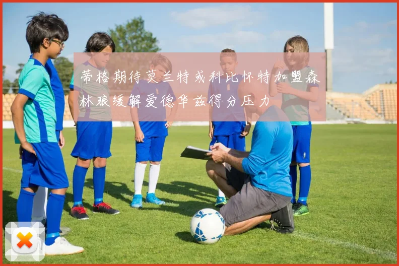 蒂格期待莫兰特或科比怀特加盟森林狼缓解爱德华兹得分压力