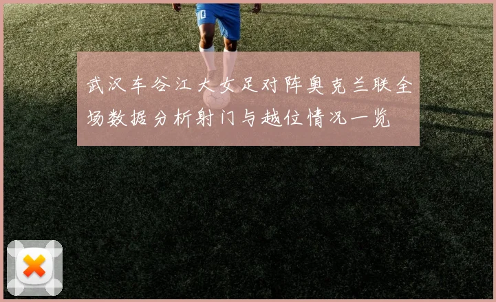 武汉车谷江大女足对阵奥克兰联全场数据分析射门与越位情况一览